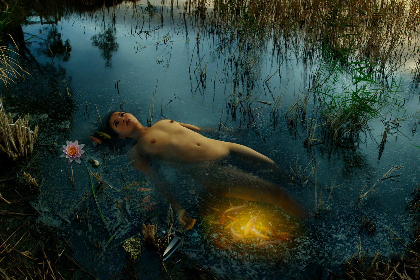 simon_strong-flower-and-knife-2007