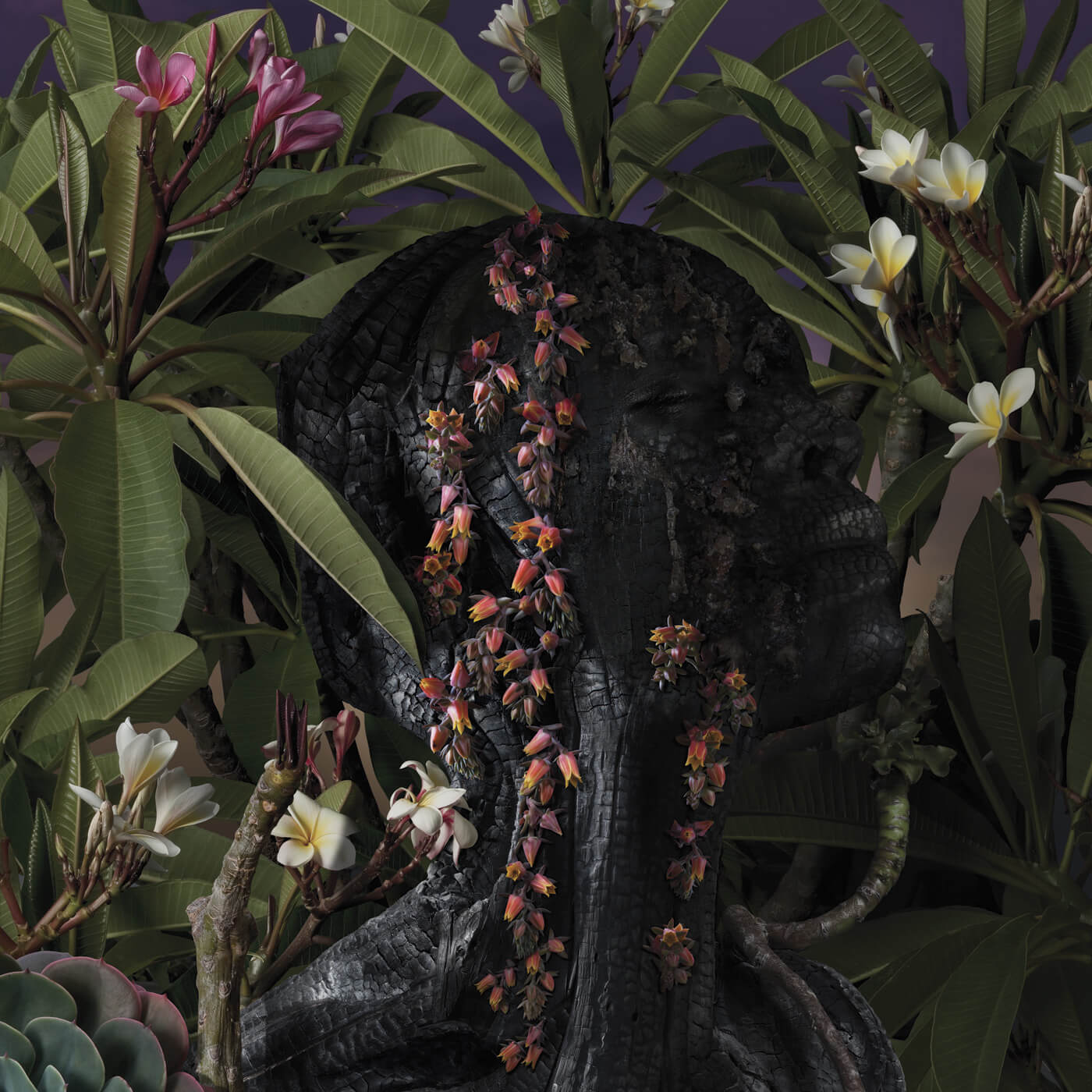 simon_strong-portrait-of-alexandra-2010