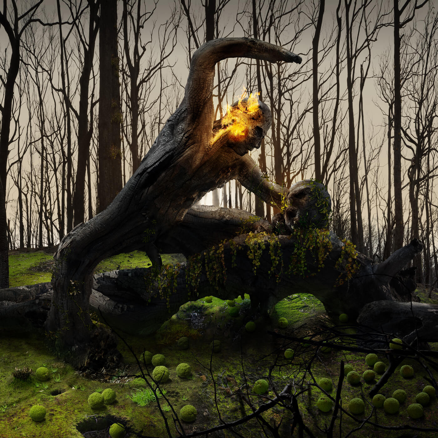 simon_strong-the-bodark-2010