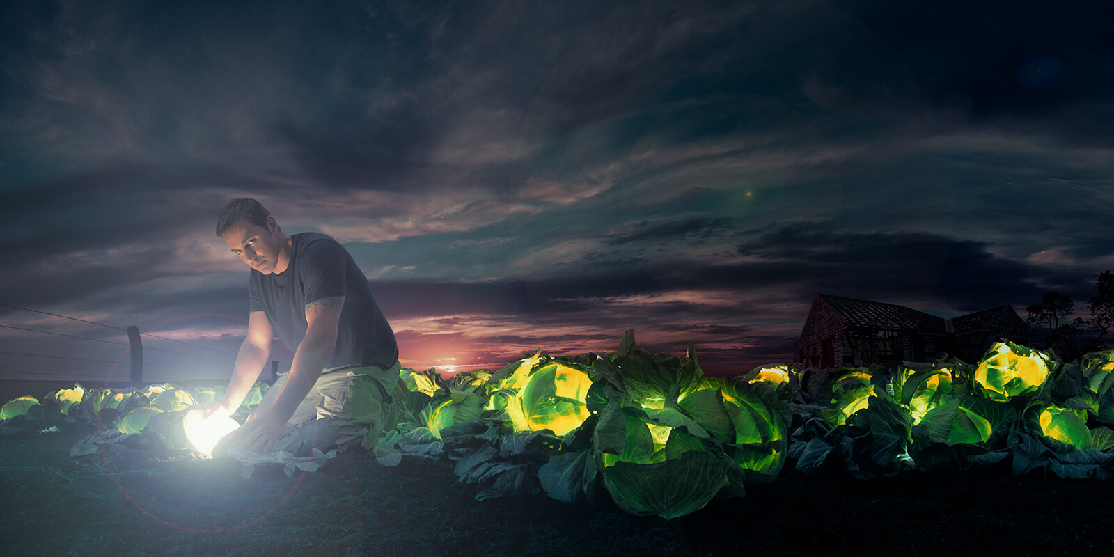 simon_strong-the_field_2006